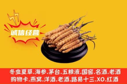 德宏回收冬虫夏草